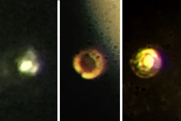 Shot with an iPhone Camera. Alledged photos of metallic hydrogen created in the diamond anvil cell at Harvard University